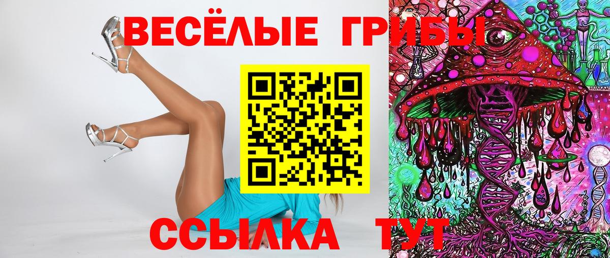 Псилоцибиновые грибы GOLDEN TEACHER  Вход с VPN  Острогожск 