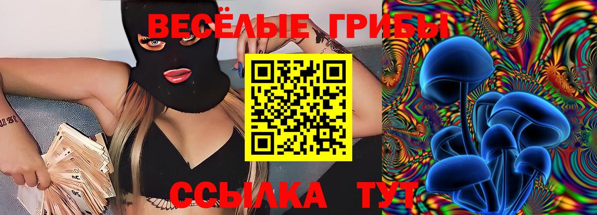 Галлюциногенные грибы Psilocybe Острогожск