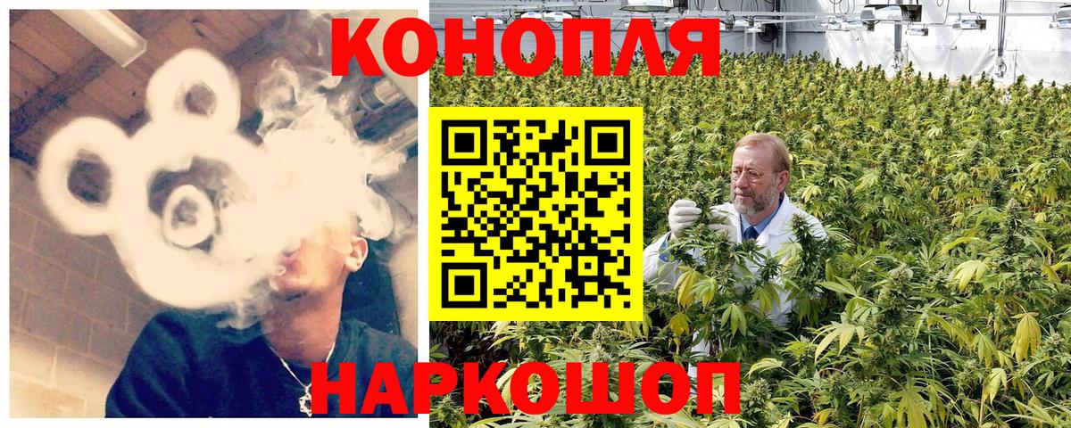 Бошки марихуана семена  Конопля SATIVA & INDICA  Вход с VPN  Острогожск  Конопля планчик 